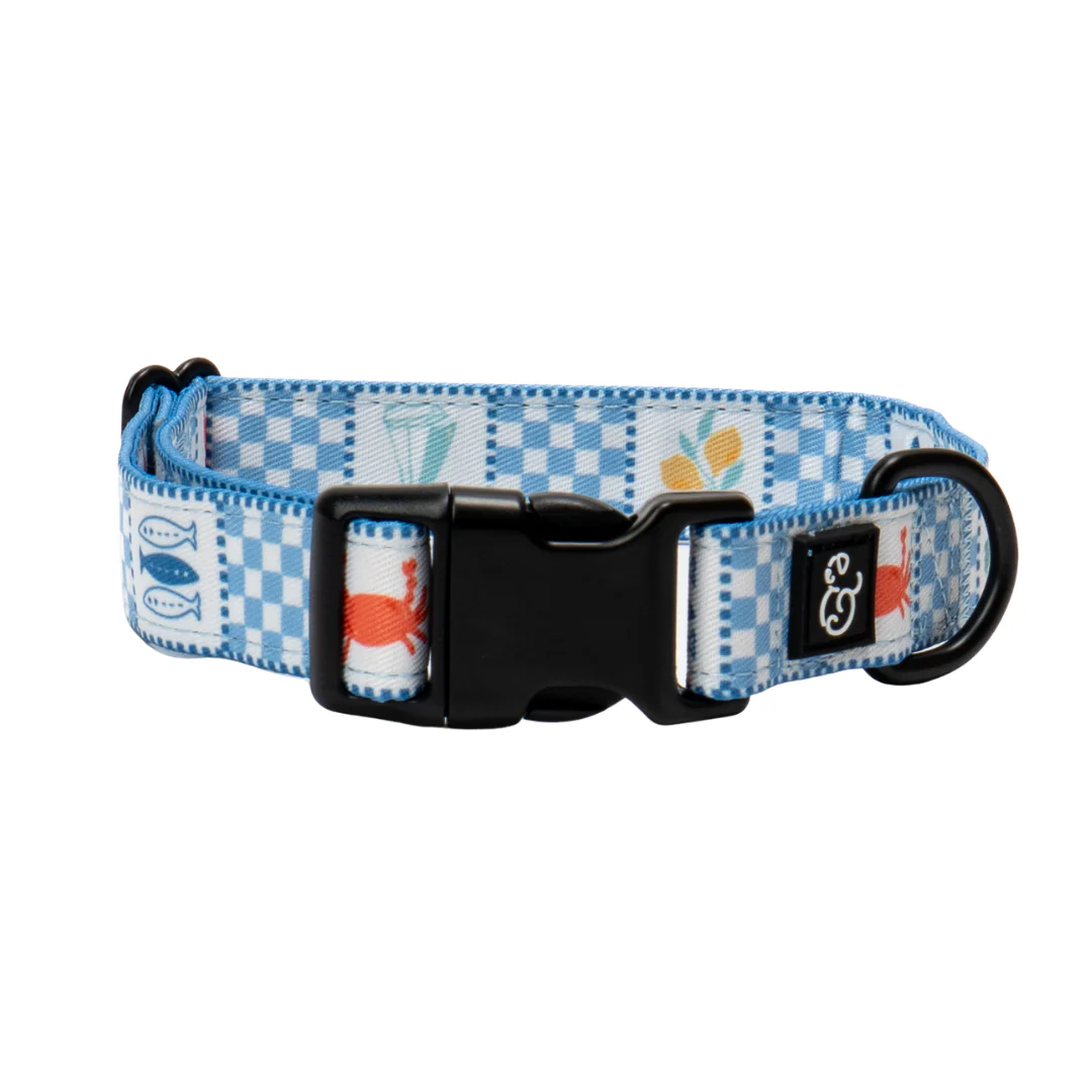 Explore our Newest Gear!